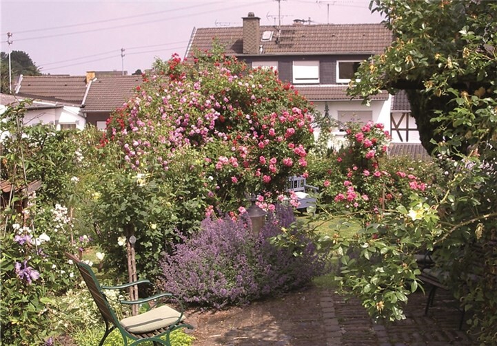 Der Familie Urbanek ist es zu verdanken, dass Löhndorf seinen Ruf als „Rosendorf“ erhielt. privat