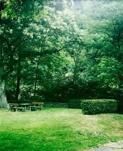 Der Flohmarkt findet auf der Wiese in Altwied statt.Foto: privat