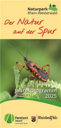 Der Flyer ist in Papierformat oder online als PDF erhältlich.