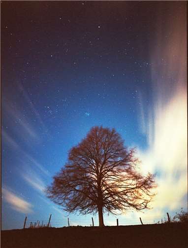 Der Fokus liegt auf nächtlichen Aufnahmen von Wald und Bäumen. Foto: privat
