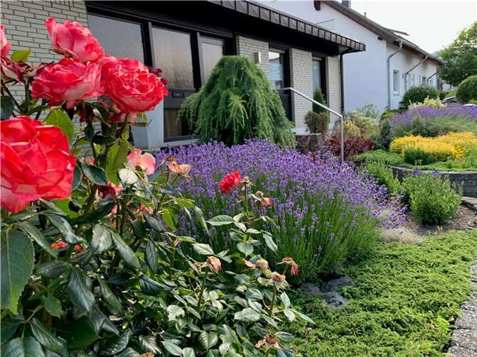 Der Fotowettbewerb geht in den Endspurt.Quelle: Pro-Mendig.de