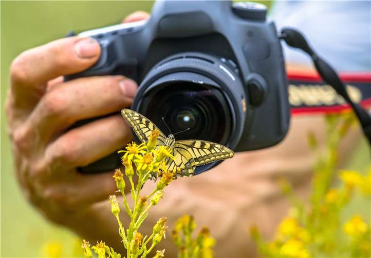 Der Fotowettbewerb ist fester Bestandteil des Heimatbuches. Unter dem Motto „Mayen-Koblenz – einfach tierisch“ sind in diesem Jahr Hobby-Fotografen aufgerufen, mit ihren Bildern die fantastische, vielfältige und schützenswerte Tierwelt im Landkreis festhalten. Foto: AdobeStock_197281669