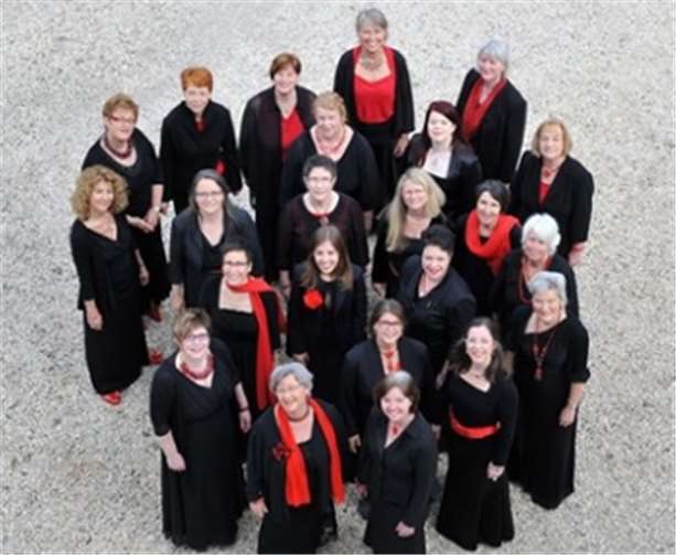Der Frauenkammerchor „pro musica“ Rheinland-Pfalz.