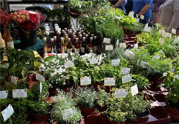Der Frühling hält Einzug auf dem Bendorfer Wochenmarkt. privat