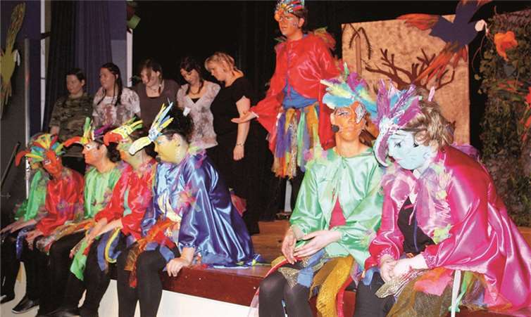 Der Fußball ist weg, ihr Lebensraum von profitgierigen Baumfällern bedroht: Grund genug für die Papageien, zu resignieren. DL