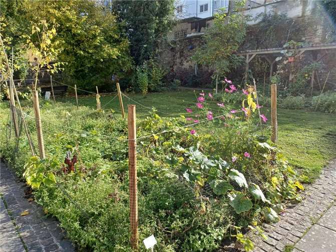 Entsiegeln und Beleben von Böden für lebenswertere Orte Der Garten Herlet Koblenz, hier soll evtl. ein Parkhaus gebaut werden.