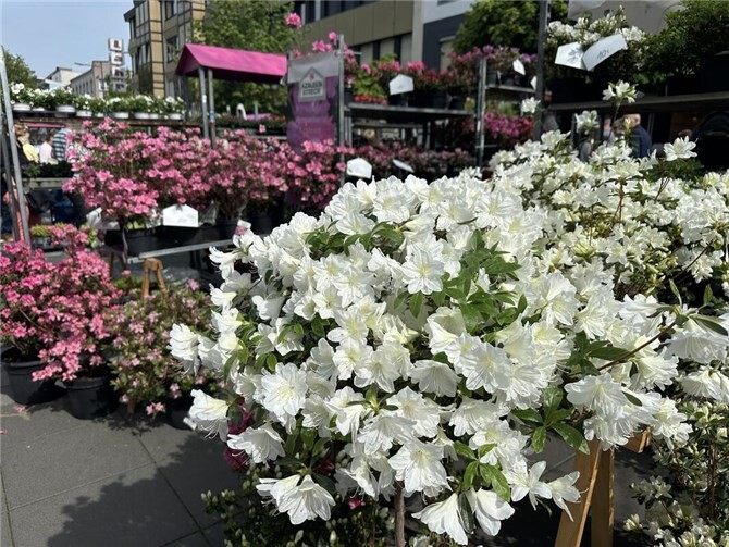 Der Gartenmarkt lockt nach Neuwied.