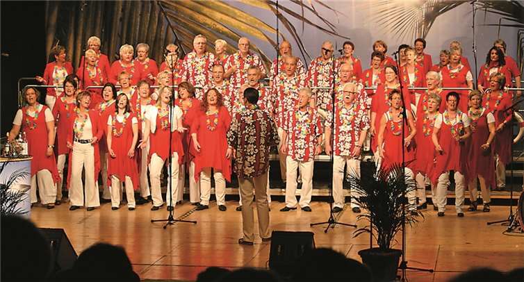 Der Gesangverein Cäcilia Queckenberg präsentiert sein Programm "Voices meet movie" im Himmeroder Hof. privat