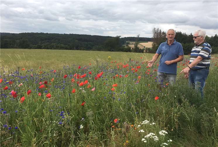Der Geschäftsführer des VVV Puderbach Hajo Jordan bewundert zusammen mit Vereinsmitglied Hans-Martin Born die unbeschreibliche Blütenpracht.Foto: privat