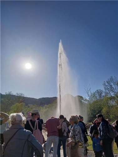 Der Geysir in Andernach. Foto: privat