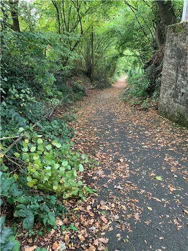 Der Grubenweg in Bendorf.  Foto: privat