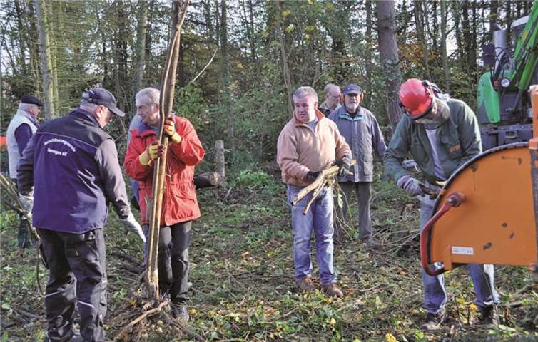 Der Hächsler hatte viel zu tun: Der „Ochsenberg“ bei der Apollinariskirche wird für den Weinanbau bereit gemacht. Durch die Rodungsarbeiten eröffnet sich von dieser Stelle die Aussicht auf den Rhein. privat