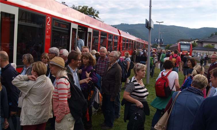 Der Halbstundentakt der Ahrtalbahn ist für die Landes-Kommission ein wichtiges Kriterium.  WITE