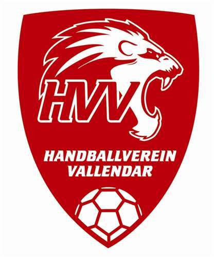 Der Handballverein Vallendar kämpft um die Tabellenspitze.privat