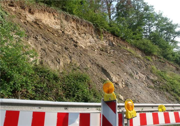 Der Hang im Lammertal wird in diesem Sommer endgültig und fachgerecht gesichert.Fotos: HE