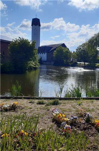 Der Heimat- und Verschönerungsverein Buschhoven ruft zur Pflege des Weihers auf.Foto: HVV