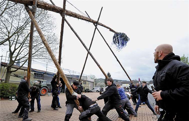 Der Heimersheimer Maibaum wurde mittels Manneskraft aufgestellt. -FIX-