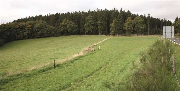 Der Höhenzug um den Mauchertsberg. FRE