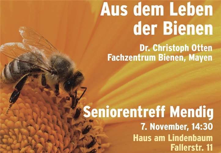 Der Informationsvortrag liefert spannende Fakten über Bienen.privat