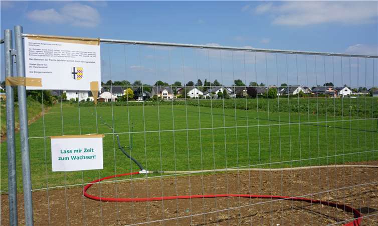 Der Interimsbolzplatz wird bis zur Errichtung eines neuen, dauerhaften Platzes bestehen bleiben. Foto: Gemeinde Swisttal