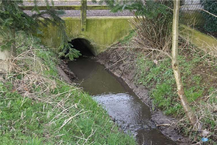 Der Jungbach führte wieder viel Wasser.privat