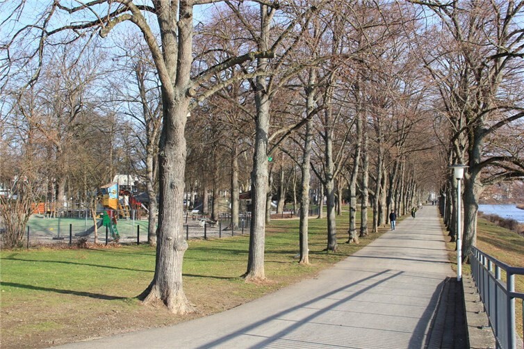 Der Kaiserin-Auguste-Viktoria-Park wird in seiner heutigen Grundstruktur nicht verändert.  Foto: GS