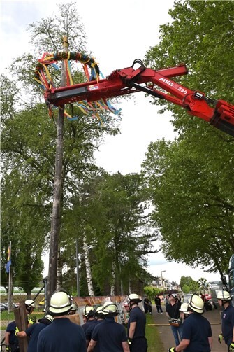 Der Kirmesbaum wird aufgestellt.