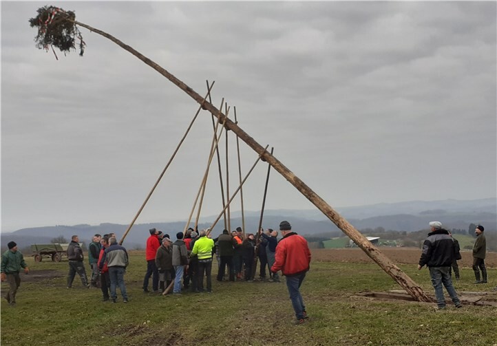 Der Kirmesbaum wurde mit vereinten Kräften aufgestellt.Quelle: Gemeinde Macken