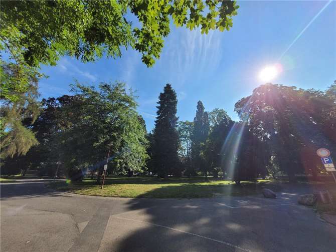 Der Klimaspaziergang startet im Bendorfer Stadtpark und richtet seinen Fokus auf Themen wie Hitzeinseln, Begrünung und Entsiegelung.  Foto: T. Artzdorf