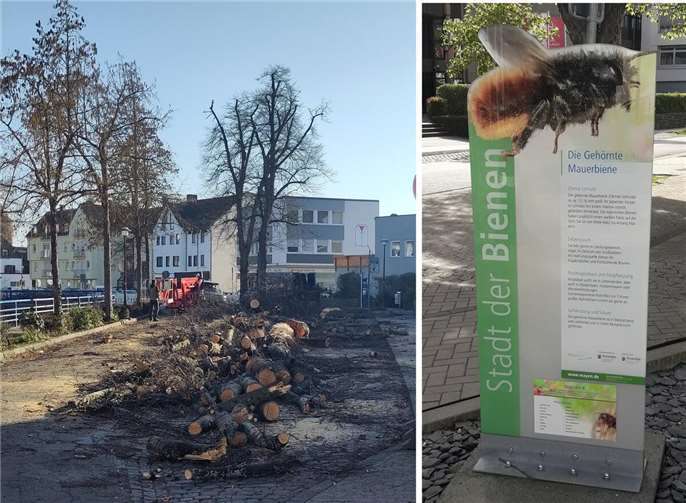 Der Klimawandel zwingt die Stadtpolitik, nach vorne zu schauen und zu überlegen: Welche Maßnahmen sind nötig, dass die Mayener Innenstadt auch noch in 20, 30 oder 40 Jahren trotz der Hitze eine hohe Aufenthaltsqualität hat und lebenswert ist? Foto: FWM