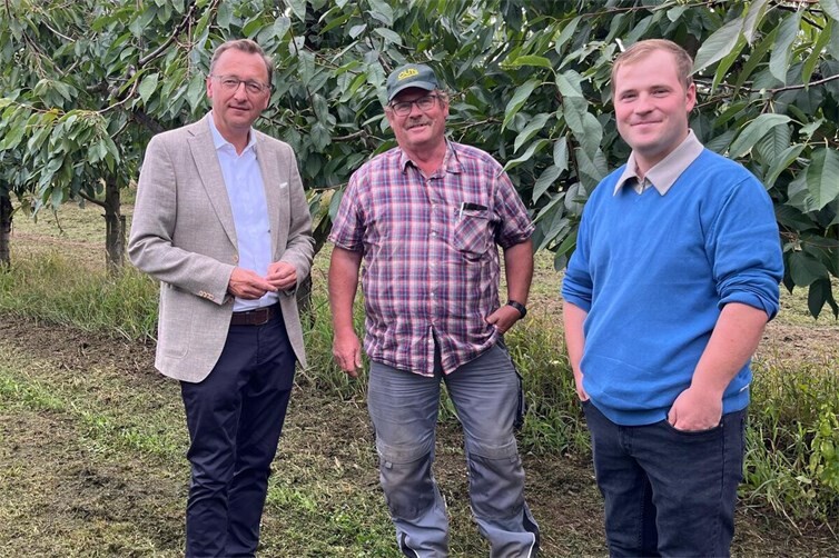 Der Koblenzer CDU-Bundestagsabgeordnete Josef Oster (links) tauschte sich beim Streifzug über die Obstplantagen mit Thomas Kreuter (Mitte) und dessen Sohn Tim Kirch vom Obsthof Spurzem-Kreuter in Mülheim-Kärlich aus.