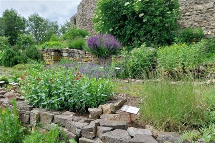 Der Kräutergarten auf Burg Olbrück