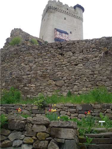 Der Kräutergarten auf Burg Olbrück. Quelle: VG Brohltal