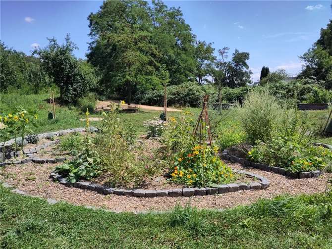 Der Kräutergarten im Gemeinschaftsgarten.  Foto: Stadtverwaltung Sinzig