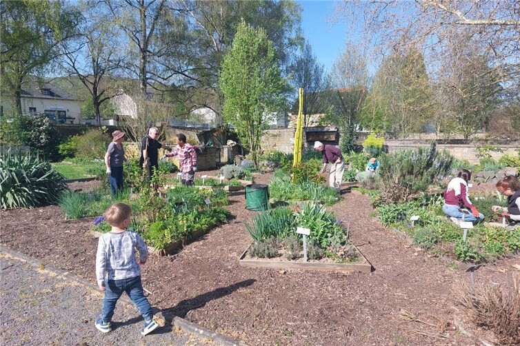 Der Kräutergarten im Stadtpark