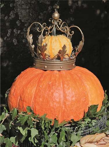 Der Kürbis steht im Mittelpunkt des Ehrenbreitsteiner Wochenmarkts am Mittwoch, 29. Oktober.  Peter Becker