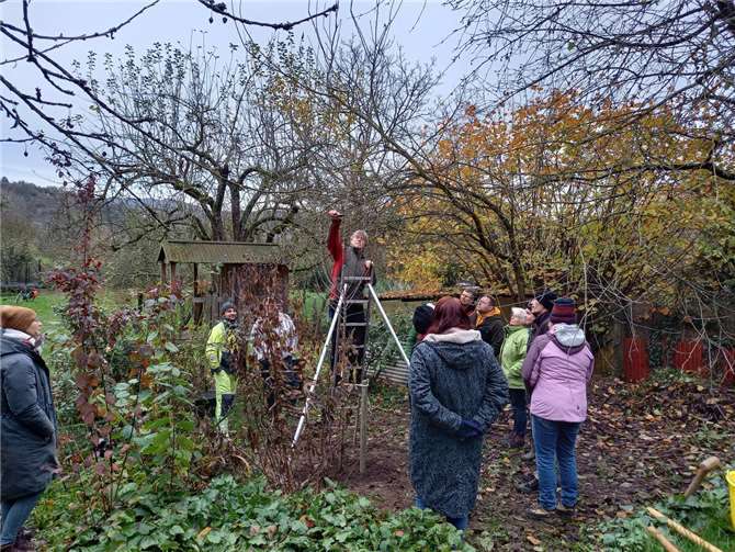 Der Kurs teilte sich in einen theoretischen und einen praktischen Teil auf.  Foto: Friederike Schumacher