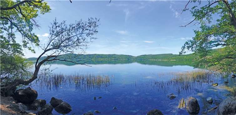 Der Laacher See ist das größte Naturschutzgebiet im nördlichen Rheinland-Pfalz und ein wichtiges Vogelschutzgebiet. Er ist das Zuhause vieler seltener Tier- und Pflanzenarten.  Foto: AdobeStock_537622320