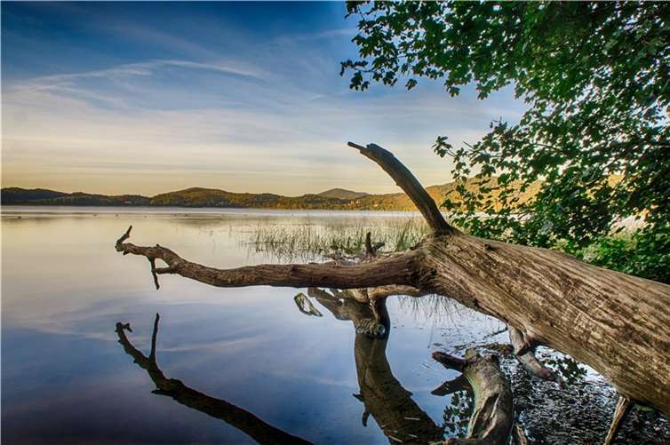 Auch in der Freizeit Naturschutz am Laacher See beachten Der Laacher See ist das größte Naturschutzgebiet im nördlichen Rheinland-Pfalz und ein wichtiges Vogelschutzgebiet. Er ist das Zuhause vieler seltener Tier- und Pflanzenarten. Damit das so bleibt, ist es wichtig, die Bestimmungen des Naturschutzes bei einem Besuch einzuhalten. Foto: Klaus Breitkreutz