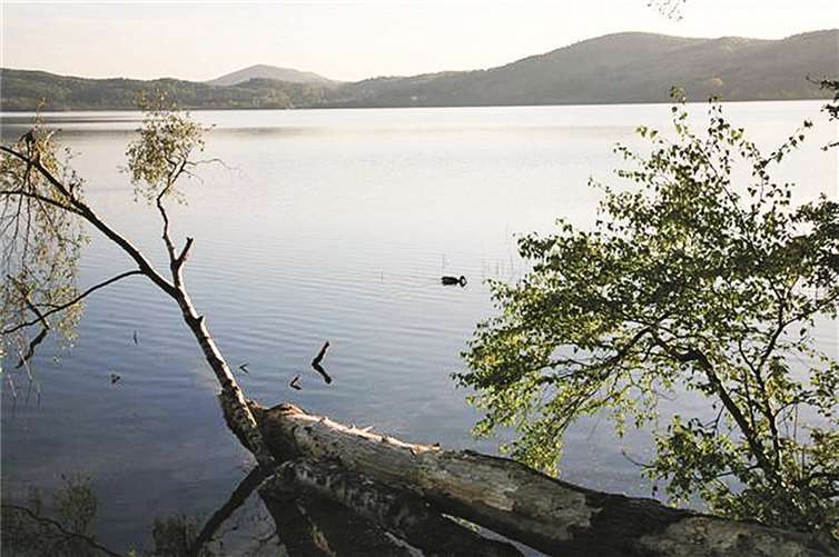 Der Laacher See wurde erst kürzlich zu einem der beliebtesten Badegewässer in Rheinland-Pfalz gekürt.