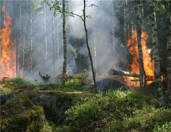 Der Landesfeuerwehrverband Rheinland-Pfalz gibt Tipps um einen solchen Brand zu vermeiden. Foto: privat