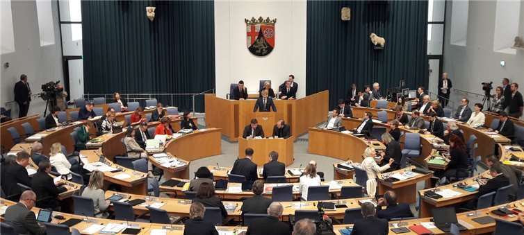 Der Landtagsabgeordnete Marc Ruland (SPD) plädiert für eine Absenkung des Wahlalters bei den Kommunalwahlen.Foto: privat