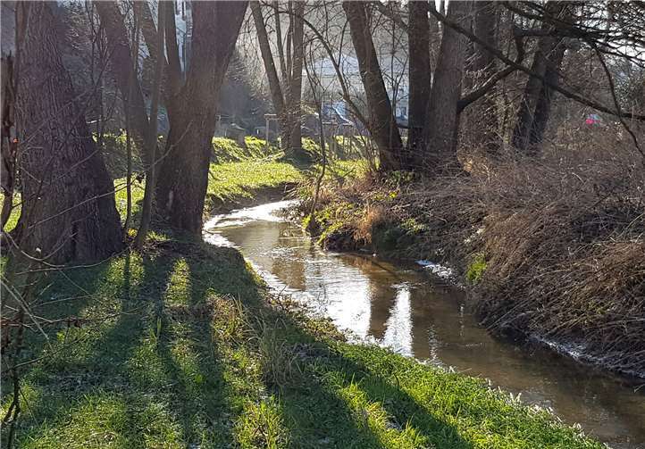 Der Leimersdorfer Bach war Kernthema einer Gewässerbesichtigung. SGD Nord