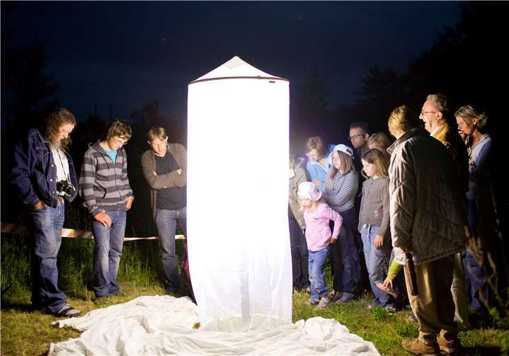 Der Leuchtabend am Stux.Foto: Frank Homann