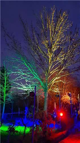 Der „Lichtkünstler“ Tom Valler hatte mit seinem Werk die Kinder zum Staunen gebracht.