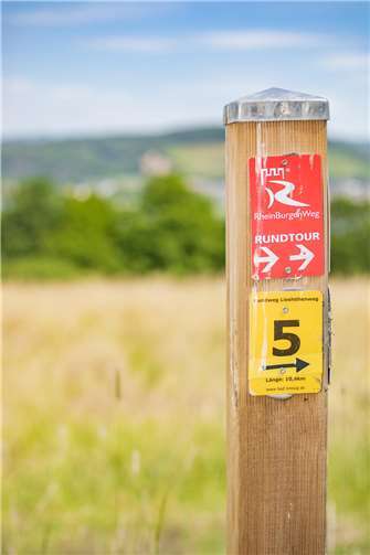 Der Lieshöhenweg ist mit einer schwarzen 5 auf gelbem Grund ausgeschildert. 