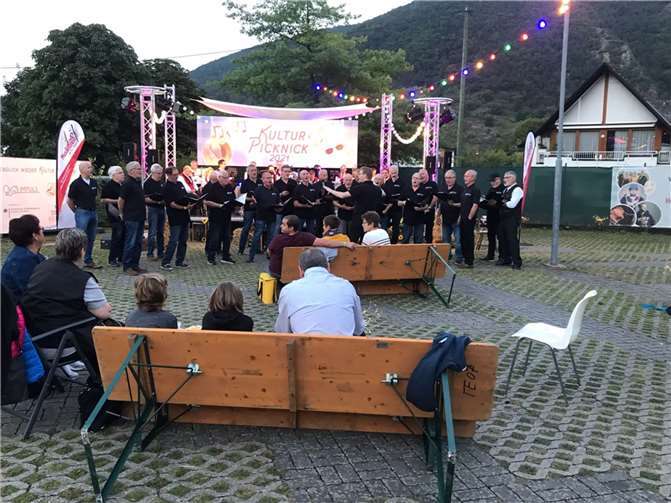 Der MGV Cäcilia beim Kultur Picknick.Fotos: privat