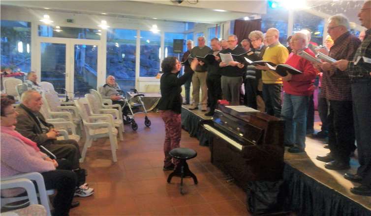 Der Männergesangverein beim Konzert in Bad Bodendorf.Privat