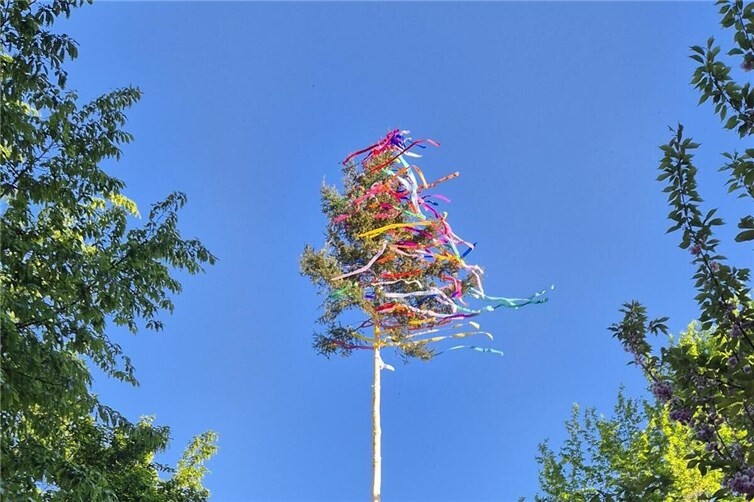 Der Maibaum 2026