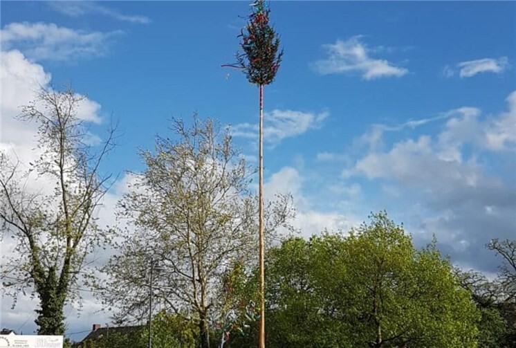 Der Maibaum auf dem Mendiger Marktplatz.